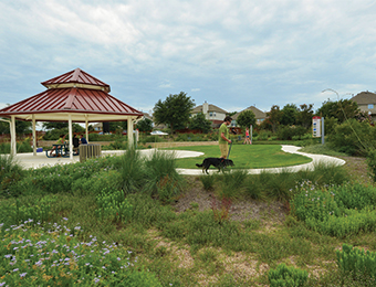 Landscape Architecture