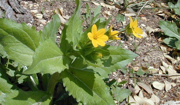 Photo Credit: Joseph Marcus